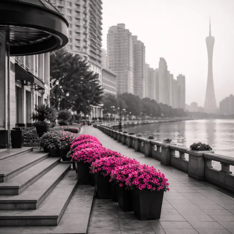 Best Hotels in Guangzhou Area China
