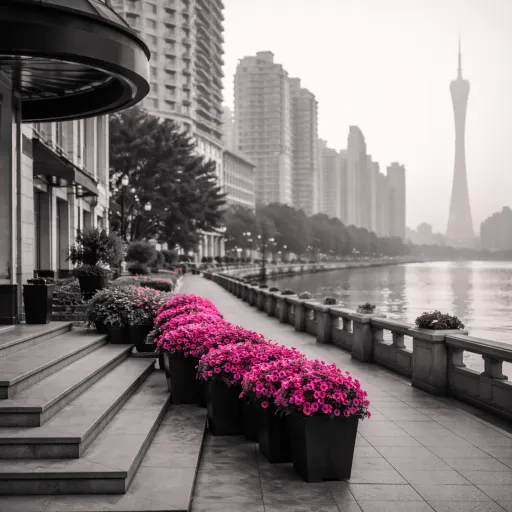 Guangzhou Area